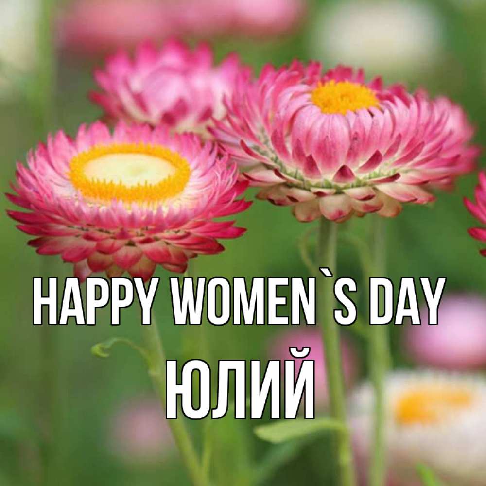 Greetings card с именем, Юлий happy women`s day подарок на международный женский день Greetings with text for free download 
